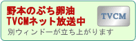 ��{�̂Ղ�����TVCM�l�b�g������