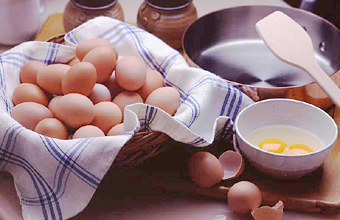 卵油の効果について