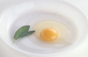 卵油の主な成分